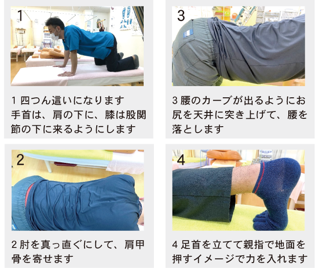 ゴリラ体操の手順