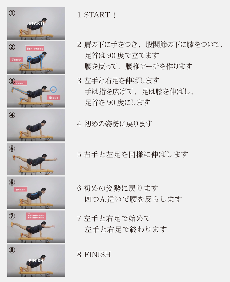 ゴリラ体操の手順